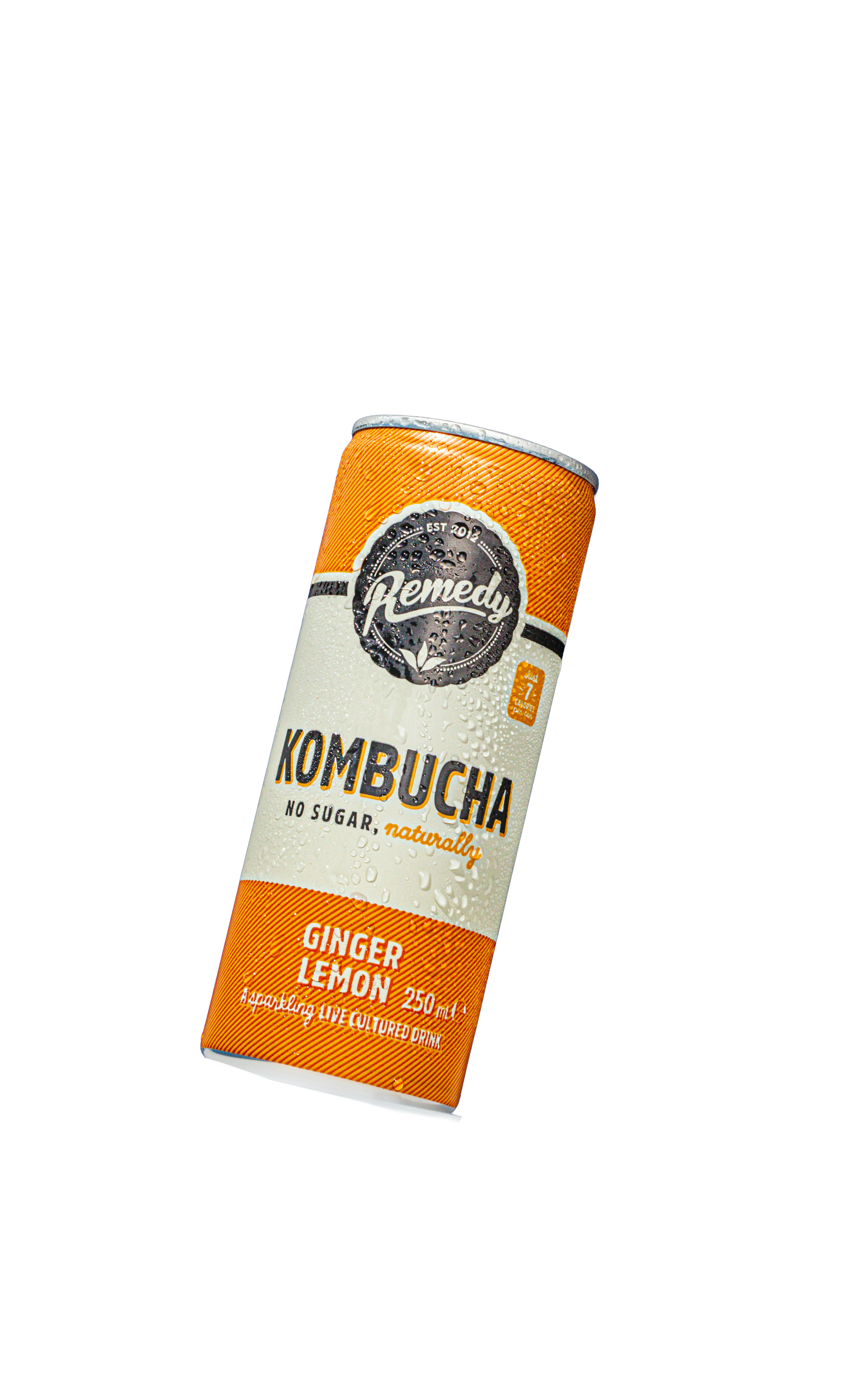 WildBloom Kombucha Product